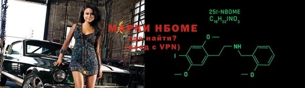 прущие грибы Александровское