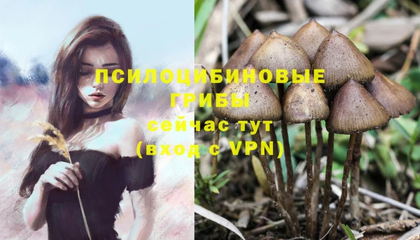 apvp Баксан