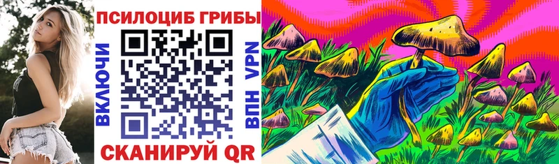 Галлюциногенные грибы MAGIC MUSHROOMS  hydra как зайти  Ленинградская 